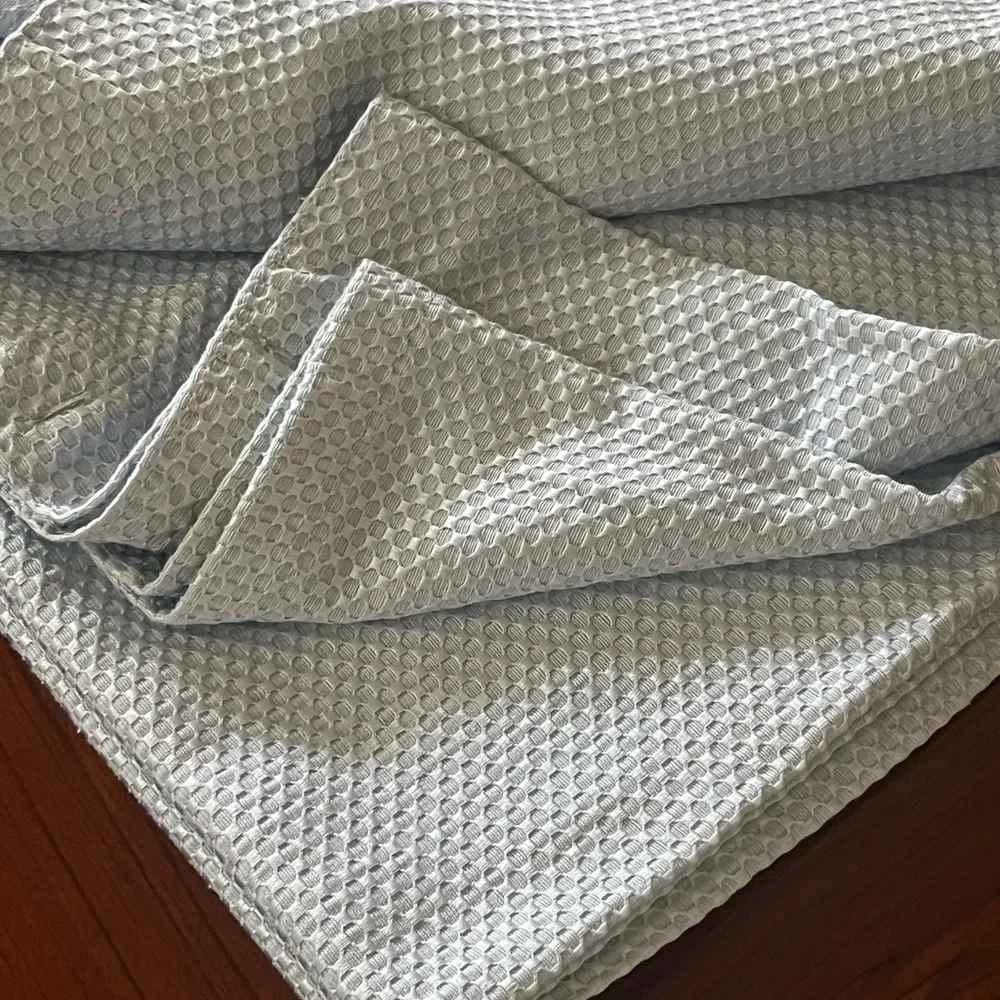 Vintage Charter Club Blue Textured shower curtain